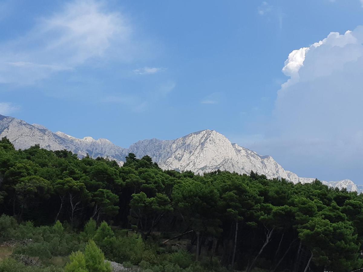 Villa Astra Brela Esterno foto